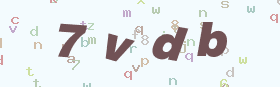 验证码