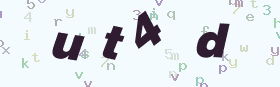 验证码