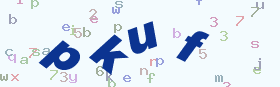 验证码