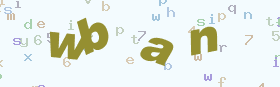 验证码