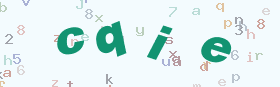 验证码