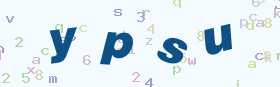 验证码