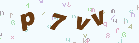 验证码