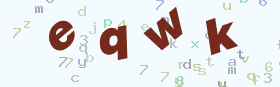 验证码