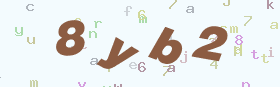 验证码